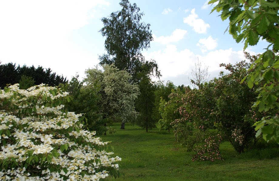 Association Des Amis de L'arboretum Adeline, La Chapelle-Montlinard, France, France